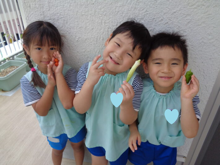 さくらぐみ🌸夏野菜収穫→野菜スタンプ🍅