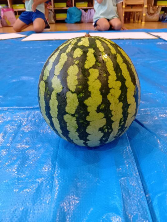 さくらぐみ　🍉お絵描き